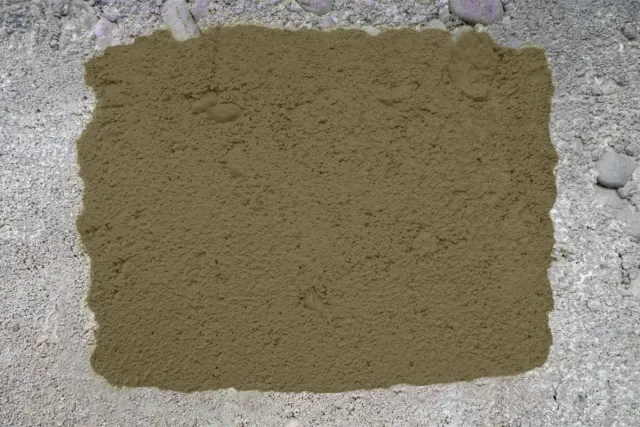 Olive Gray