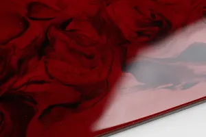 Epoxy Resin carbon red EP