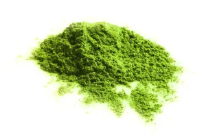 Pigment jungle green green EPODEX
