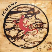 Review attachment by: Olidiy12