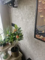 Review attachment by: .vd B