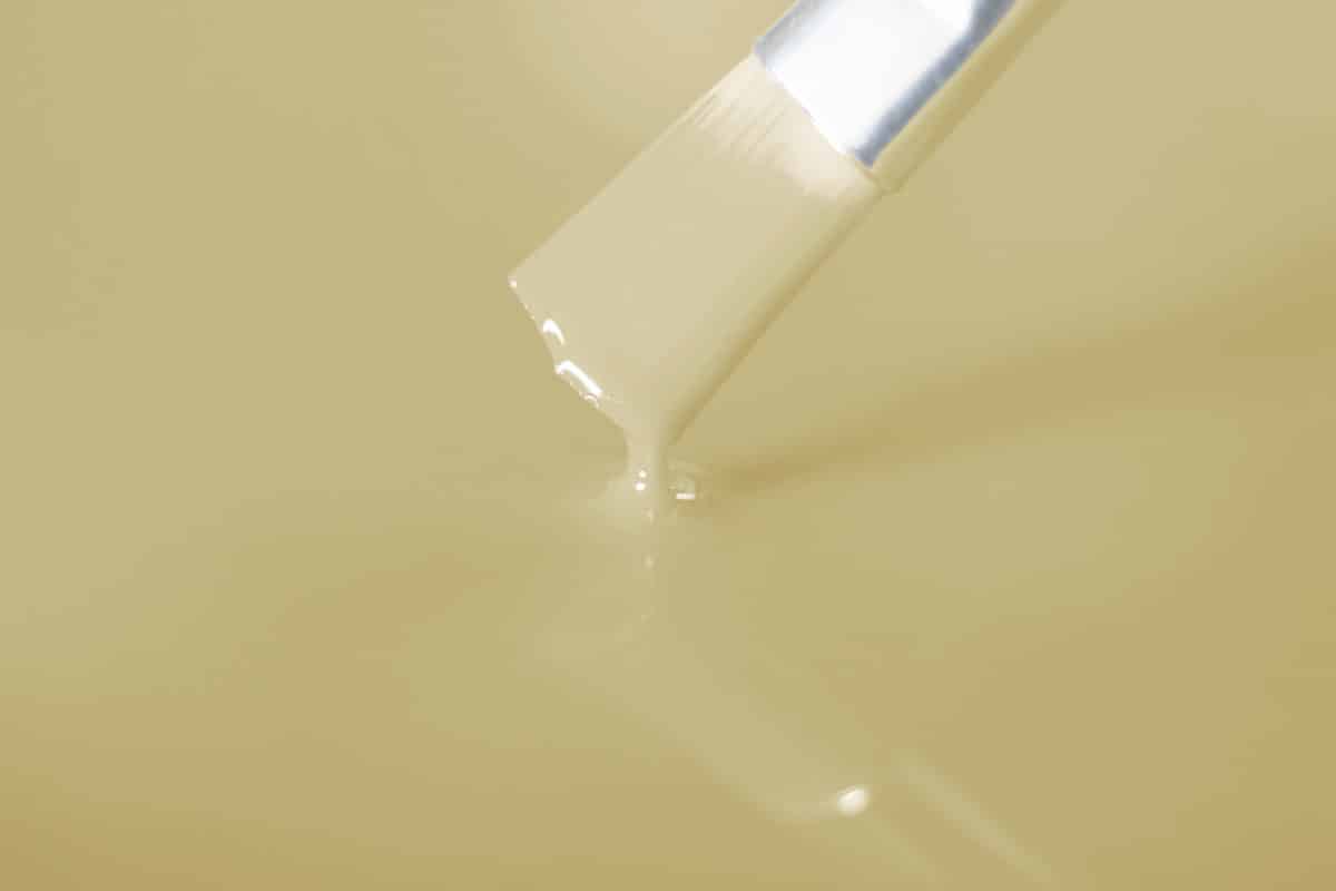Solid Color – Ivory