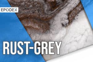 thumbnail youtube rock kit rust grey 1